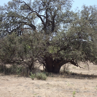 TweedyRanch (31)